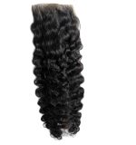 Burmese Curly