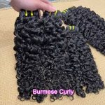 Burmese Curly Lux Bundle